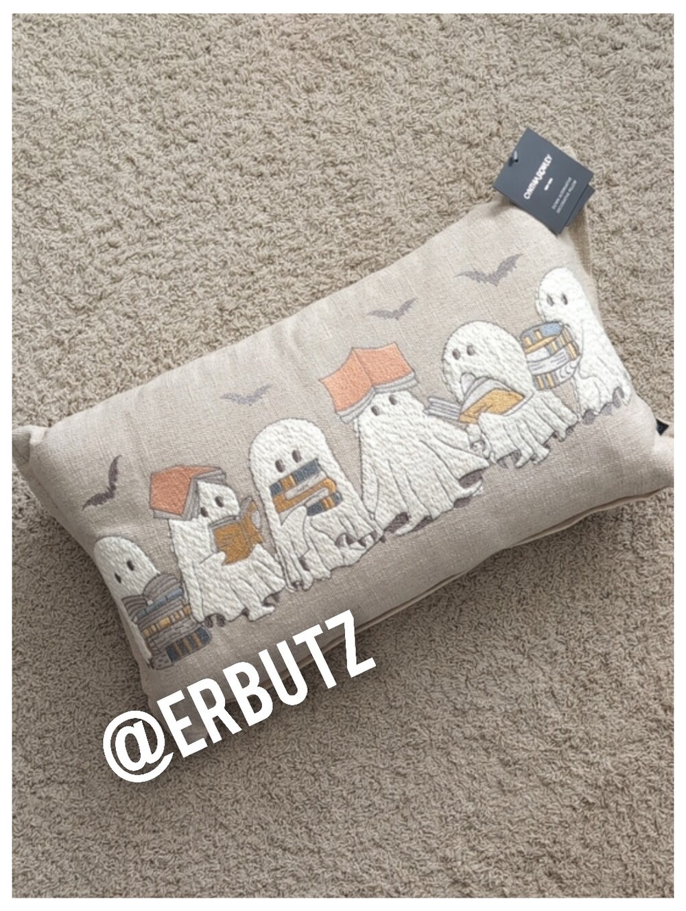 Cynthia Rowley Embroidered Reading Ghost Throw Pillow, Halloween Decor 📚👻